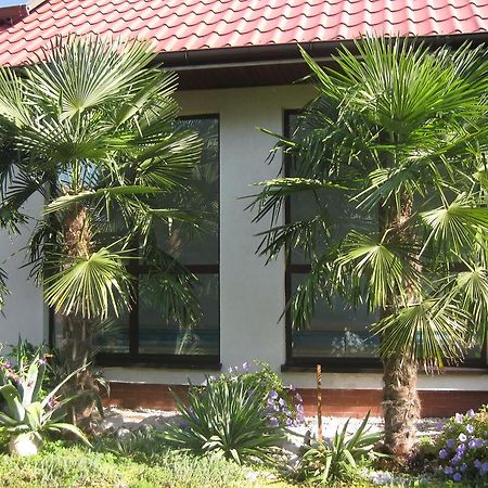 Pokoje Goscinne Pod Palmami Busko-Zdrój Extérieur photo