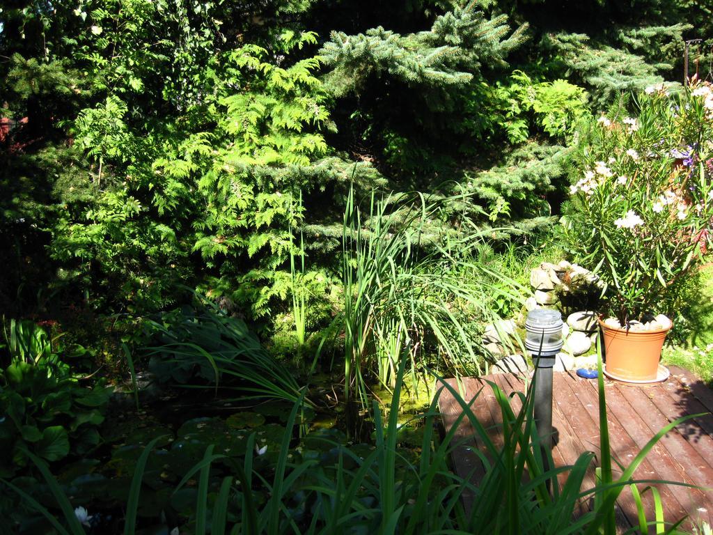 Pokoje Goscinne Pod Palmami Busko-Zdrój Extérieur photo